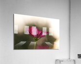 Dreamy State Acrylic Print