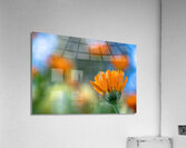 Foreground Acrylic Print