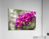 Orange Eye Impression acrylique