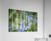 Blue Rosary Acrylic Print