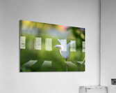 Dear Friend Acrylic Print