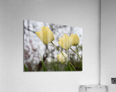 In Good Company Acrylic Print