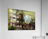 Snow White Acrylic Print