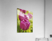 Follow the Leader Impression acrylique