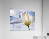 Head in the Clouds Impression acrylique