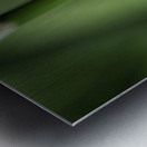 Spider with Rainbow Drop Metal print