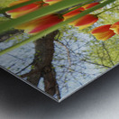 A View From Below Metal print