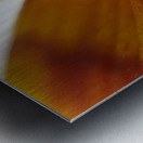 Bidens Ferulifolia Metal print