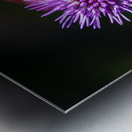 Blazing Star Metal print