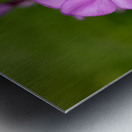 Call me Rosie Metal print