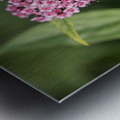 Candlelight Metal print