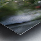 Firecrackers Metal print