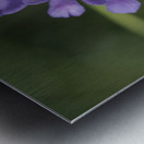 Fluttering Impression metal