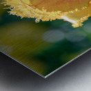 Fringed Blossom Metal print