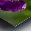 Little Beads Metal print