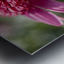 Large Hearted Metal print