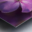 Pink World Metal print