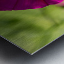 Pretty Trumpet Metal print