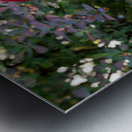 Red as Blood Metal print