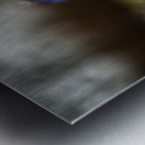 Siberian Squill Metal print