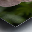 The Wild One Metal print