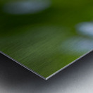 Tiny Bouquet Metal print