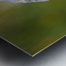 White Poppy Metal print