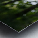 Enchanted Metal print