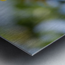 Sunlit Serenade Metal print