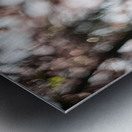 Sunny Serenity Impression metal