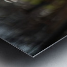 Daffodil Dreamscape Metal print