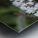 Fairy Candle Metal print