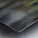 Paradise Perfection Metal print