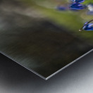 Meadow Melody Metal print