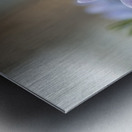 Purple Haze Metal print