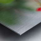 Rosy Red Twilight Metal print