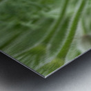 Purple Paradise Metal print