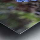 Ethereal Blossoms Metal print