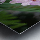 Orchid Reverie Metal print