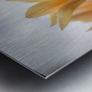 Amber Aurora Metal print