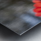 Crimson Elegance Metal print