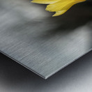 Twilight Tulip Metal print