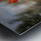 Sunshine Dance Metal print