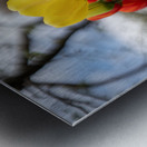 Sunlit Symphony Metal print