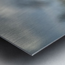 Regal Reverie Metal print