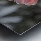 Pink Harmony Metal print