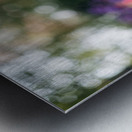  SBP5487 Impression metal