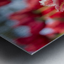  SBP7969 Impression metal