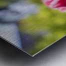  SBP7968 Impression metal