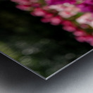 SBP6328 Impression metal